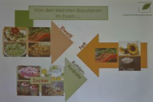 0070_Ausgewogen Essen