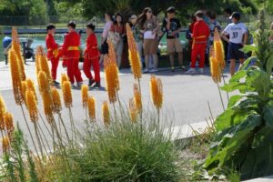 0110_20250621_Sommerfest China-Schule IN