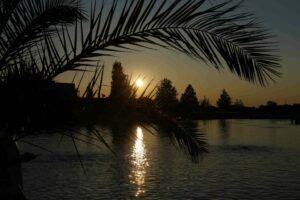 0370_20250621_Sommerfest Abendstimmung