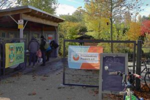 0010_20251025_Kürbisschnitzen