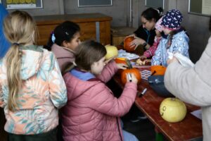 0150_20251025_Kürbisschnitzen