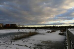 0090_20260106_Winter im Piuspark