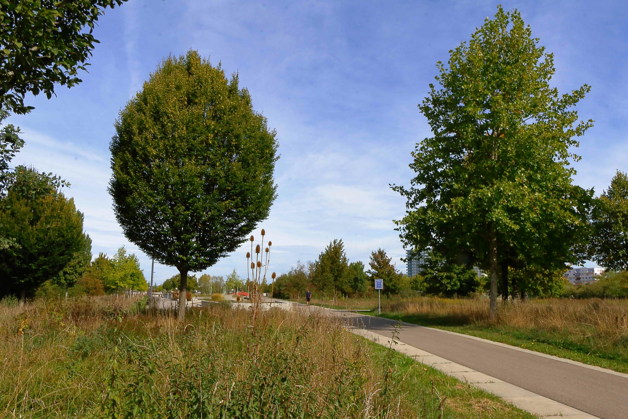 0010_Herbstbilder