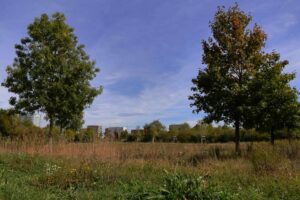0050_Herbstbilder