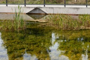 0060_Herbstbilder