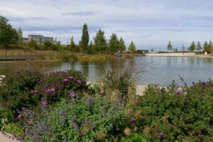 0080_Herbstbilder
