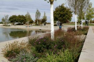 0090_Herbstbilder