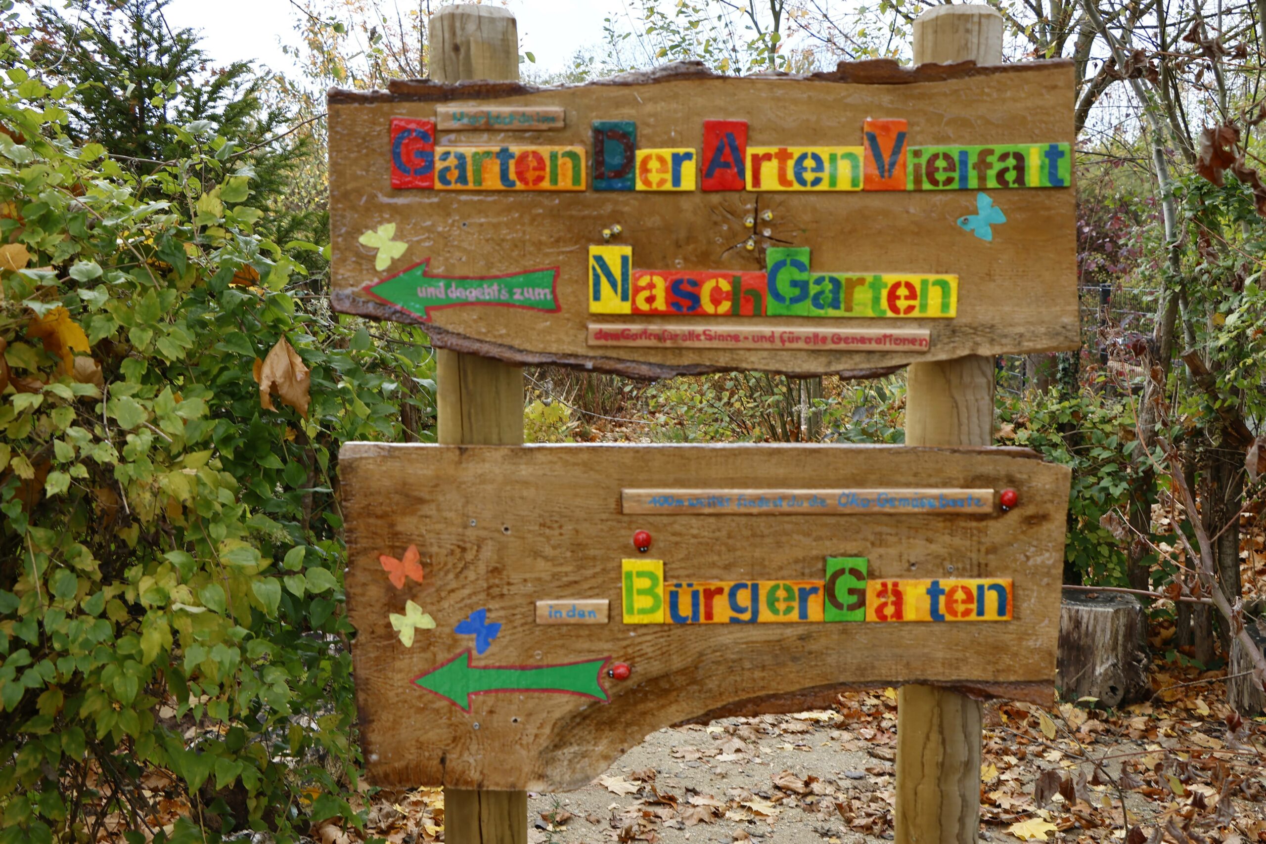 Die Ökomodellregion hat ein Gartenprojekt des Freundeskreises Piuspark Ingolstadt e. V. gefördert.